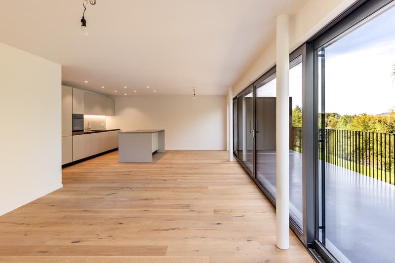 2.5 und 3.5 Zimmer-Ferien-Wohnung am Thunersee (4)