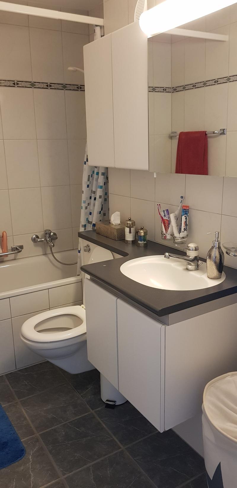Helle 3.5-Zimmerwohnung an ruhiger Lage in Frick zu vermieten (5)
