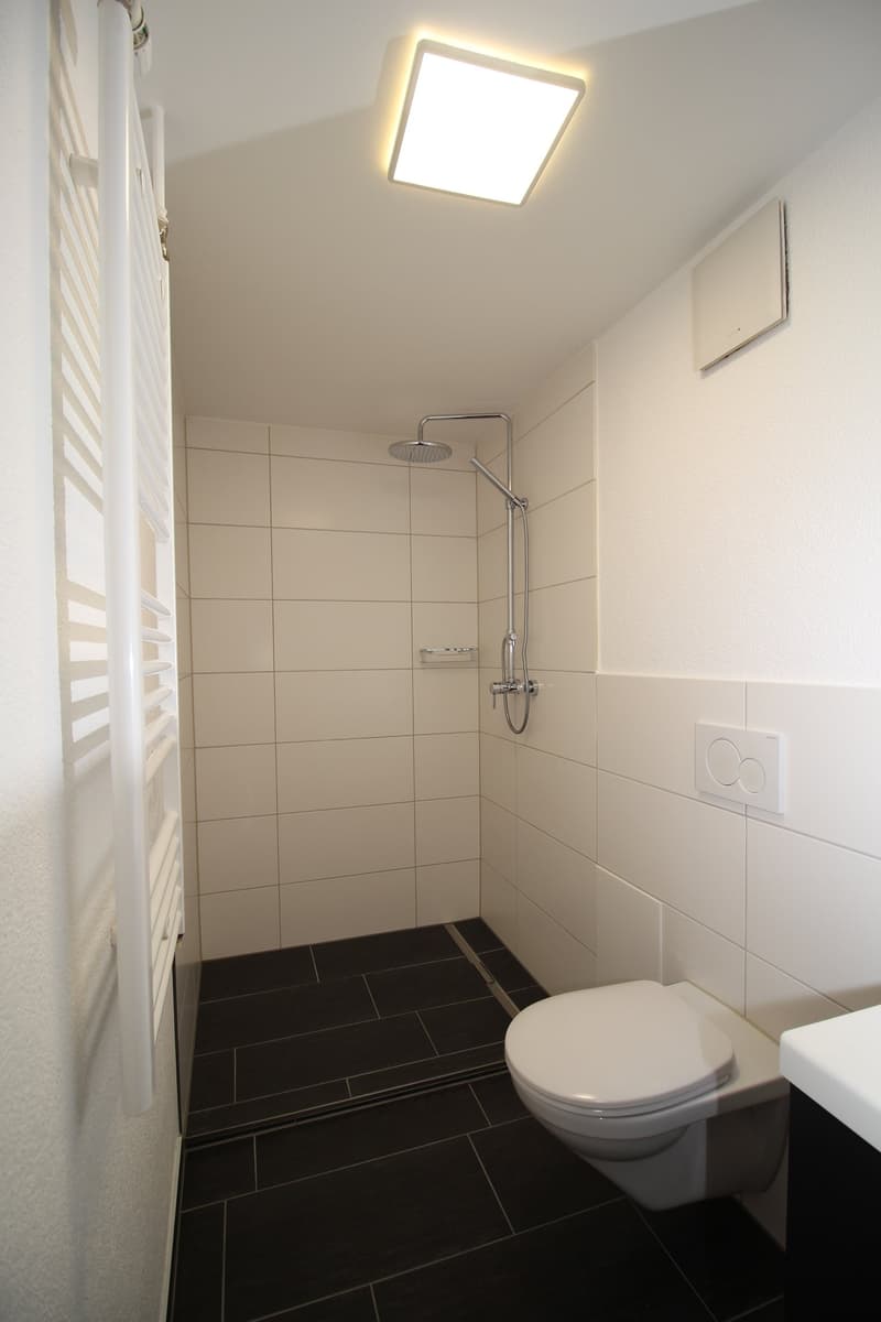 Charmante 1-Zimmerwohnung mitten in der Brugger Altstadt (2)