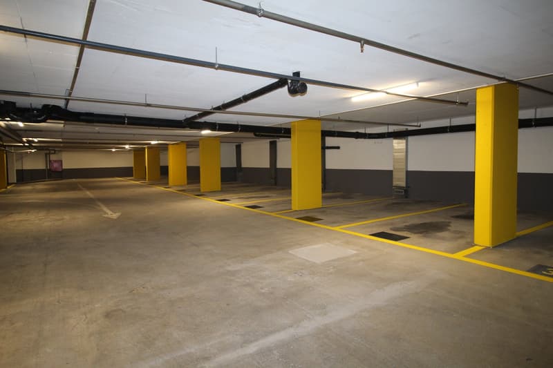 Einstellplatz an zentraler Lage zum Vermieten (1)