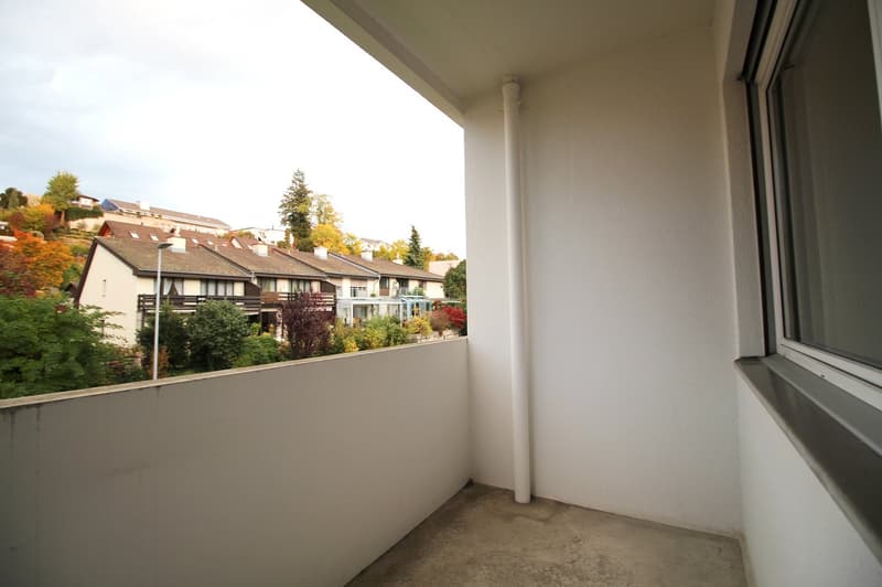 zentral gelegene 3.5 Zimmerwohnung in einem ruhigen Wohnquartier (8)