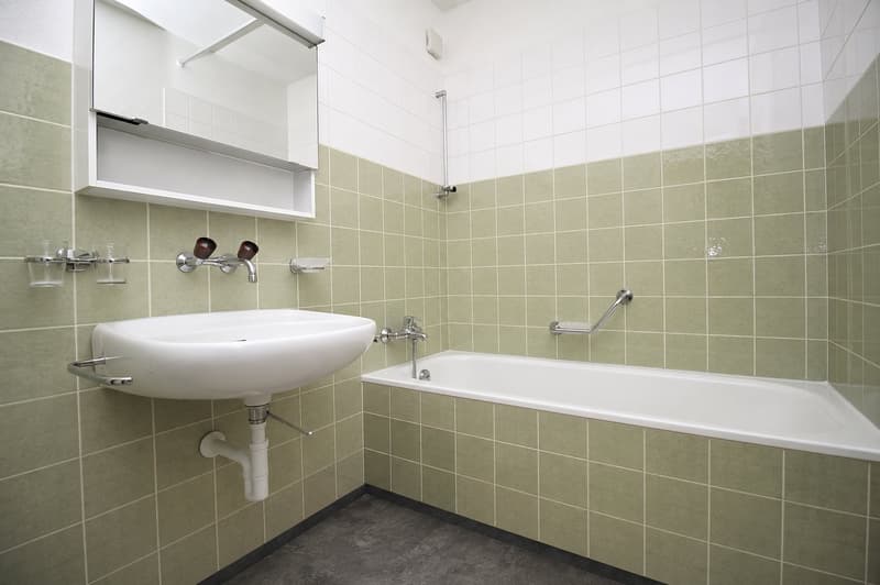 zentral gelegene 3.5 Zimmerwohnung in einem ruhigen Wohnquartier (9)