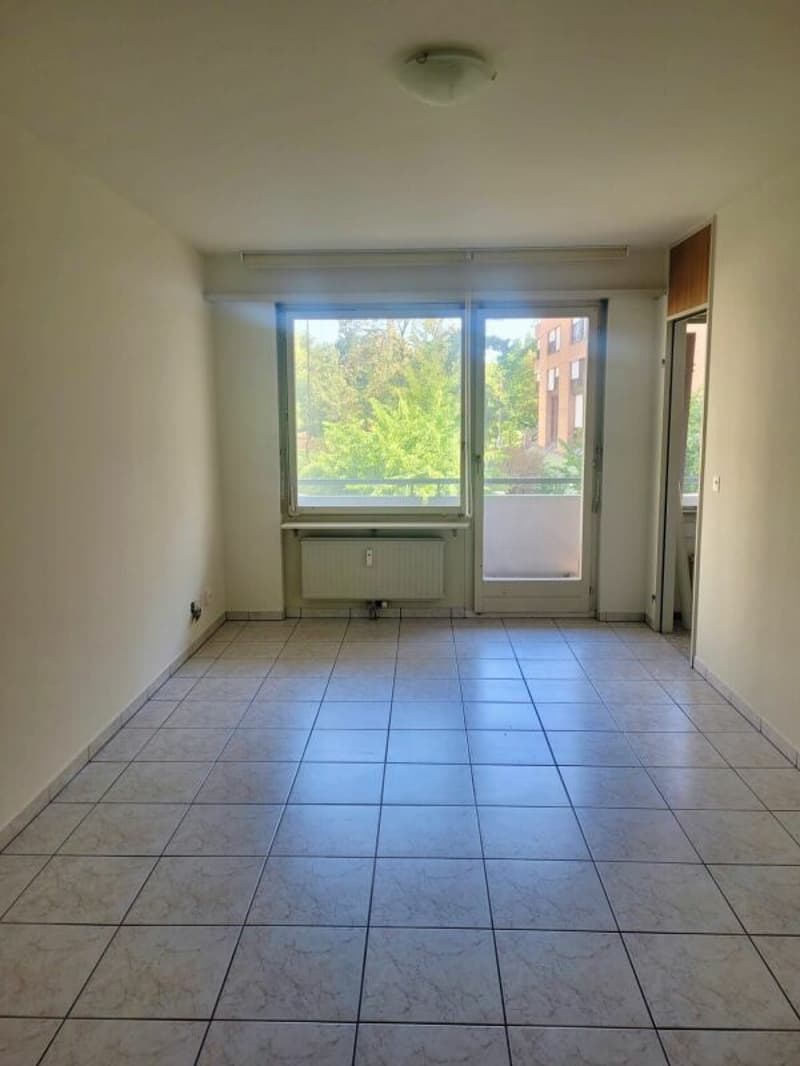 Wohnbereich mit Blick zu Balkontüre