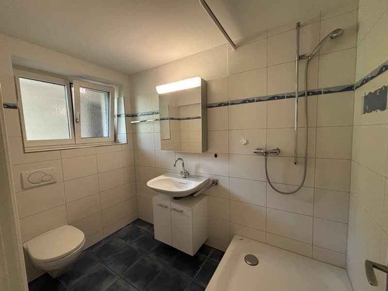 Doppeleinfamilienhaus in ruhiger Lage von Birr (3)