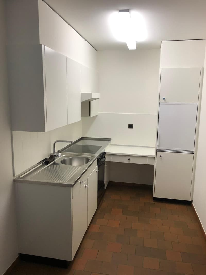 Schöne 1.5 - Zimmerwohnung nähe Picassoplatz (4)
