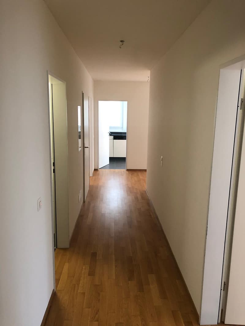 Helle und ruhige 4.5-Zimmerwohnung in Luzern (8)
