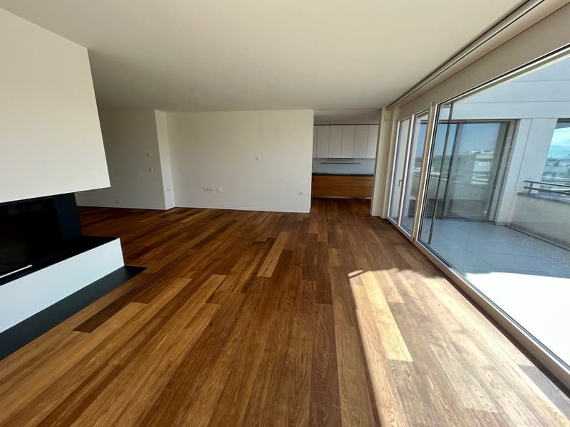 Luxuriöse 3.5-Zimmerwohnung im Zentrum von Basel (8)