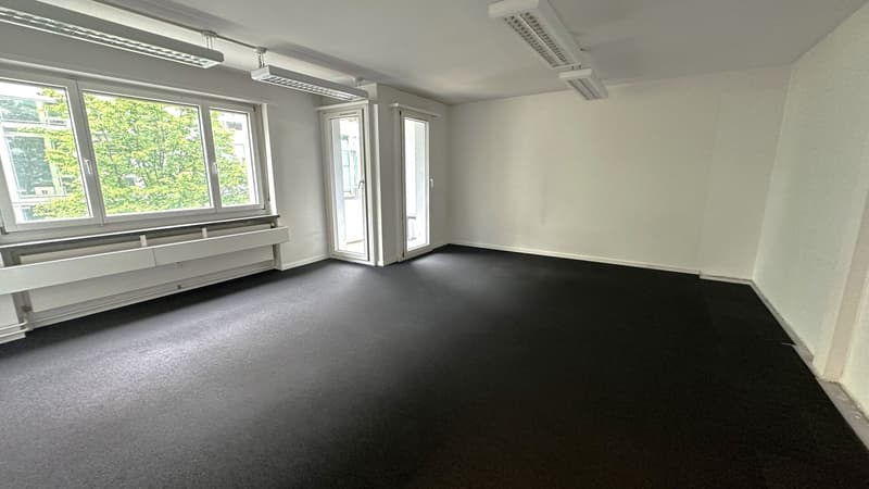 Spacious office space for rent near Basel Fair (5)