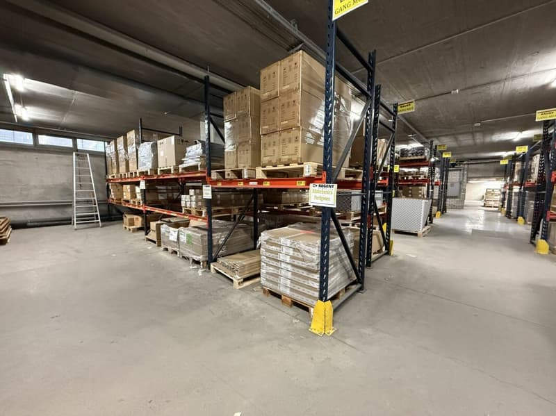 Spazi commerciali di circa 1'200 m2 su un unico livello (4)
