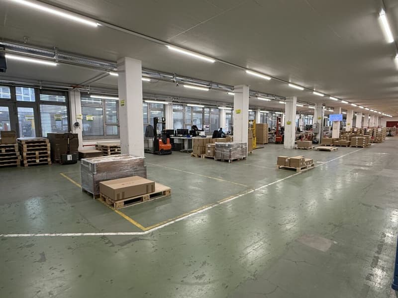 Spazi commerciali di circa 3500 m2 con tre rampe per camion (2)