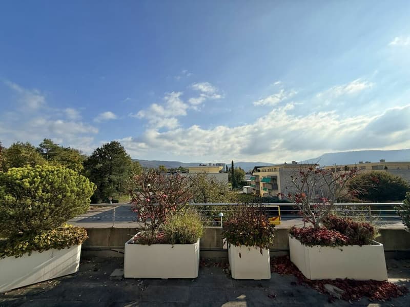 Appartamento in mansarda di 3,5 locali (8)
