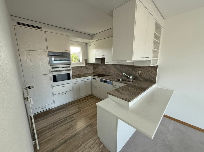 Appartamento in mansarda di 3,5 locali (3)