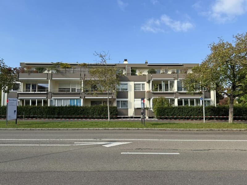 Appartamento in mansarda di 3,5 locali (10)
