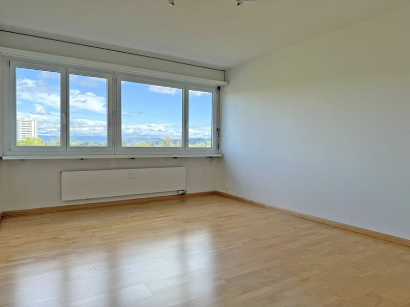 Helle 4.5-Zimmerwohnung mit Aussicht (9)
