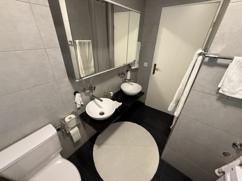 Attraktive 4.5-Zimmerwohnung (11)