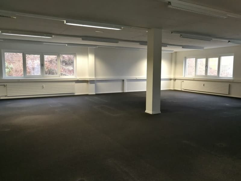 Moderne Büroflächen an verkehrsgünstiger Lage (3)