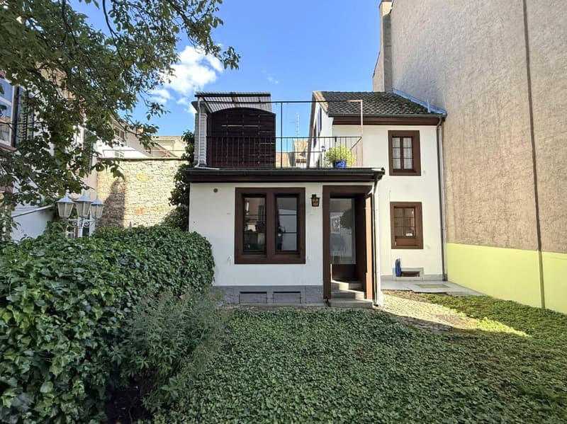 Einzigartiges Reiheneinfamilienhaus (14)