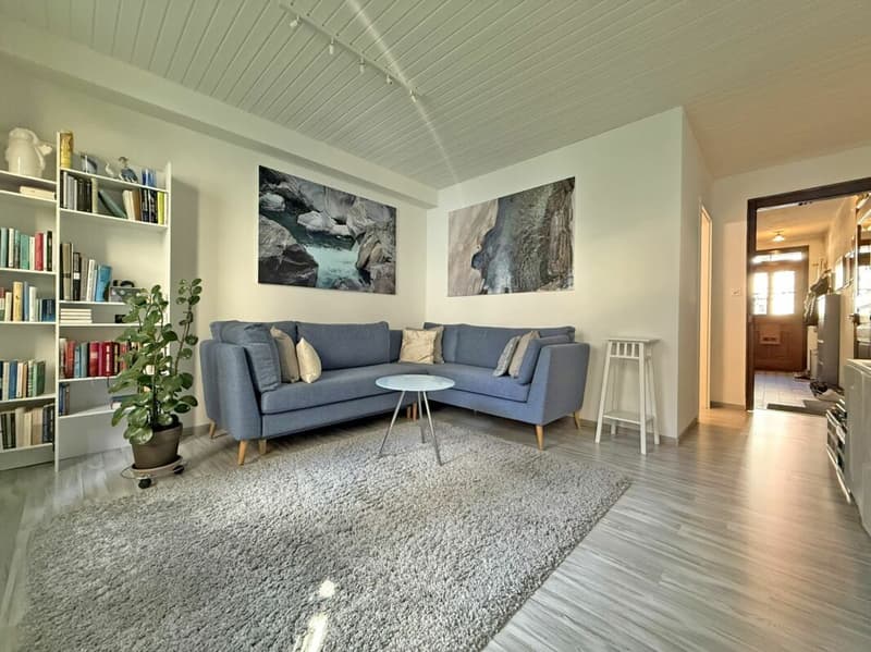 Einzigartiges Reiheneinfamilienhaus (2)