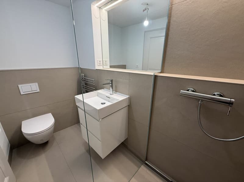 Einzigartige Altbauwohnung mit Blick auf den Rhein (7)