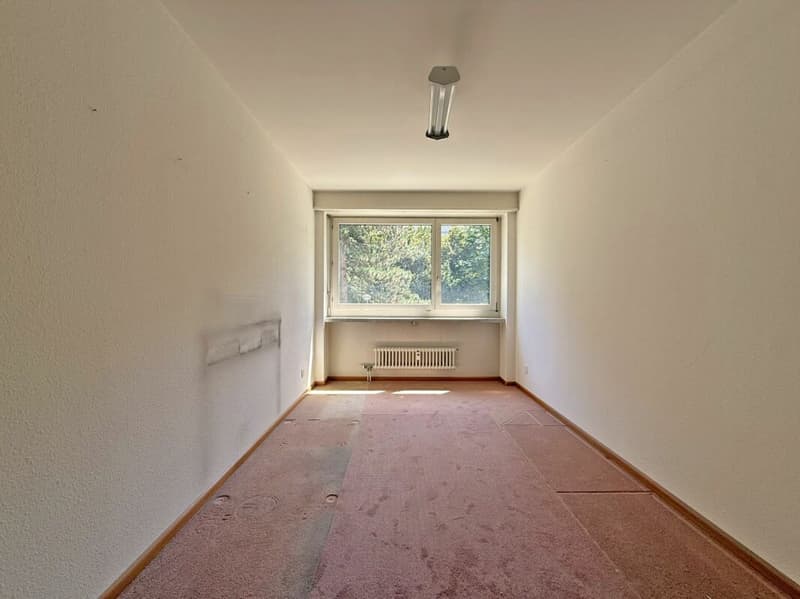 5.5-Zimmerwohnung an bester Lage (8)