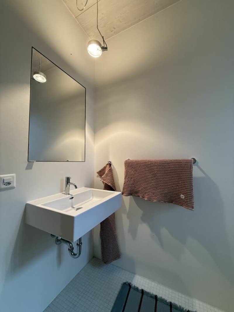 Stilvolles 6.5-Zimmer-Einfamilienhaus (9)