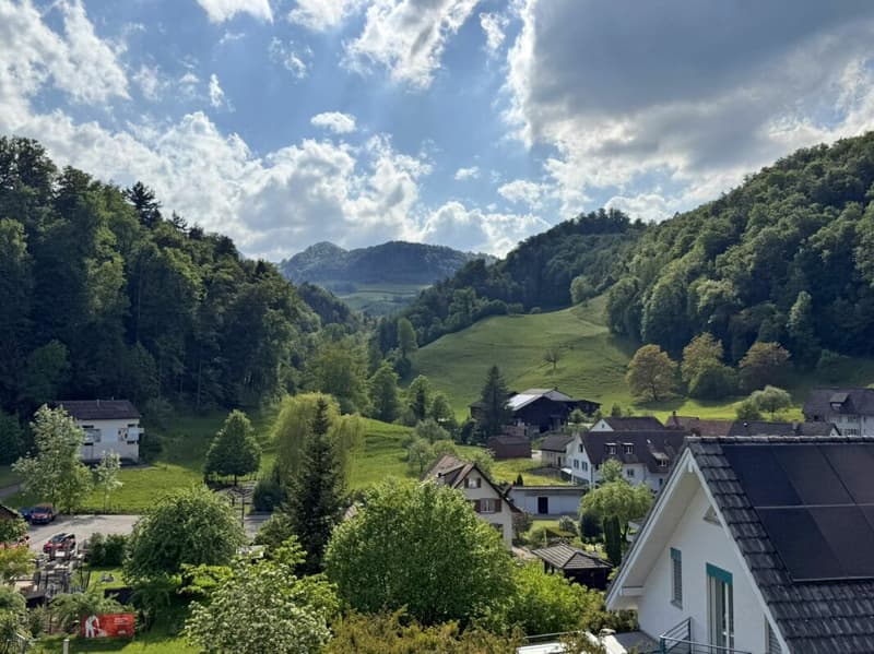 Idyllisches Einfamilienhaus mit grosszügigem Garten (12)