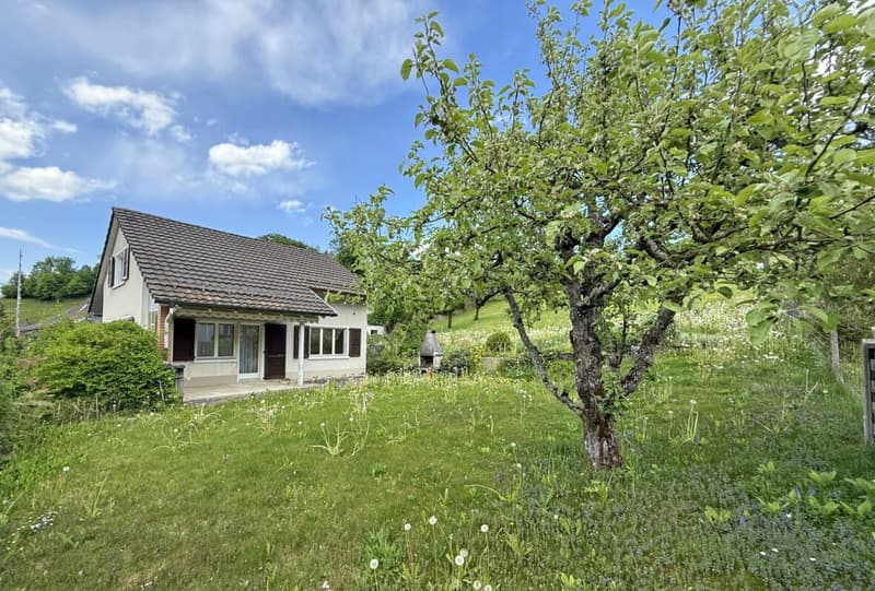 Idyllisches Einfamilienhaus mit grosszügigem Garten (14)