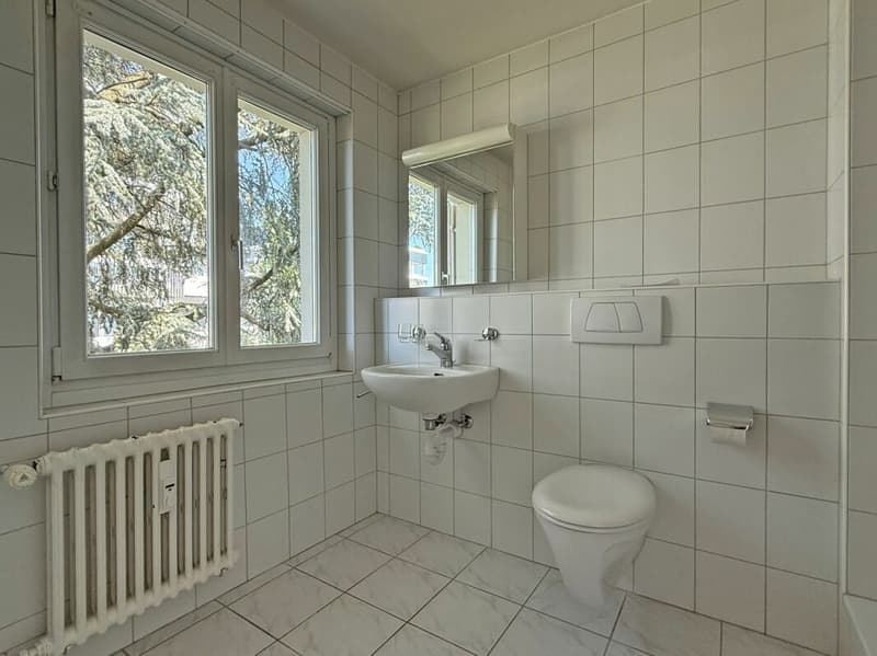4.5-Zimmerwohnung an zentraler Lage in Allschwil (9)