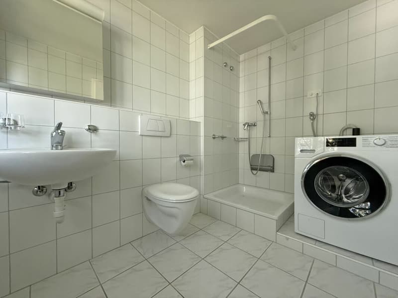4.5-Zimmerwohnung an zentraler Lage in Allschwil (10)