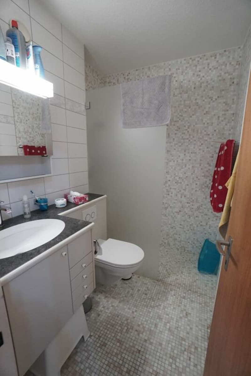3.5 Zimmerwohnung im Hochparterre (9)