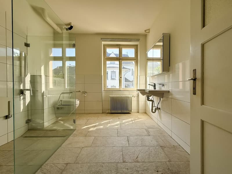 Repräsentatives Stadthaus mit 250m2 im Gundeli (8)