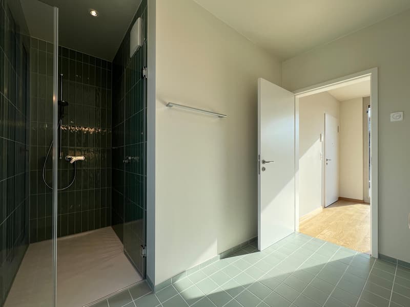 Moderne 2-Zimmer-Dachwohnung mit grosser Terrasse im St. Johann (5)