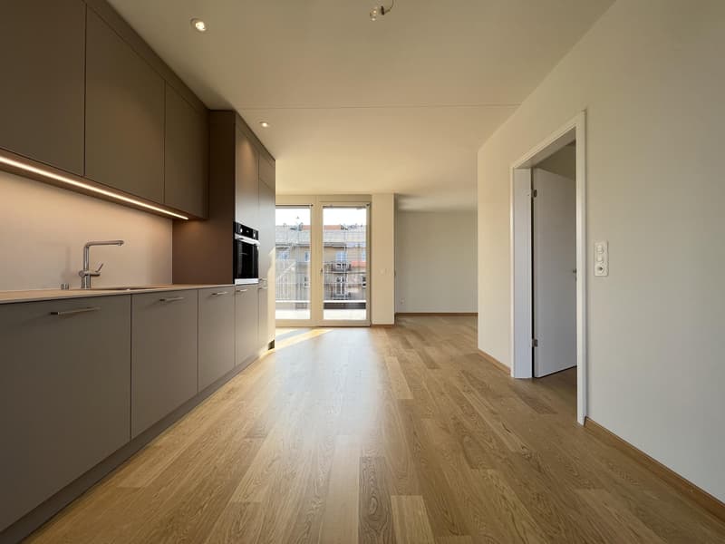 Moderne 2-Zimmer-Dachwohnung mit grosser Terrasse im St. Johann (8)