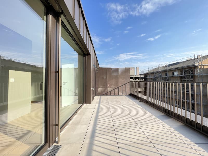 Moderne 2-Zimmer-Dachwohnung mit grosser Terrasse im St. Johann (10)