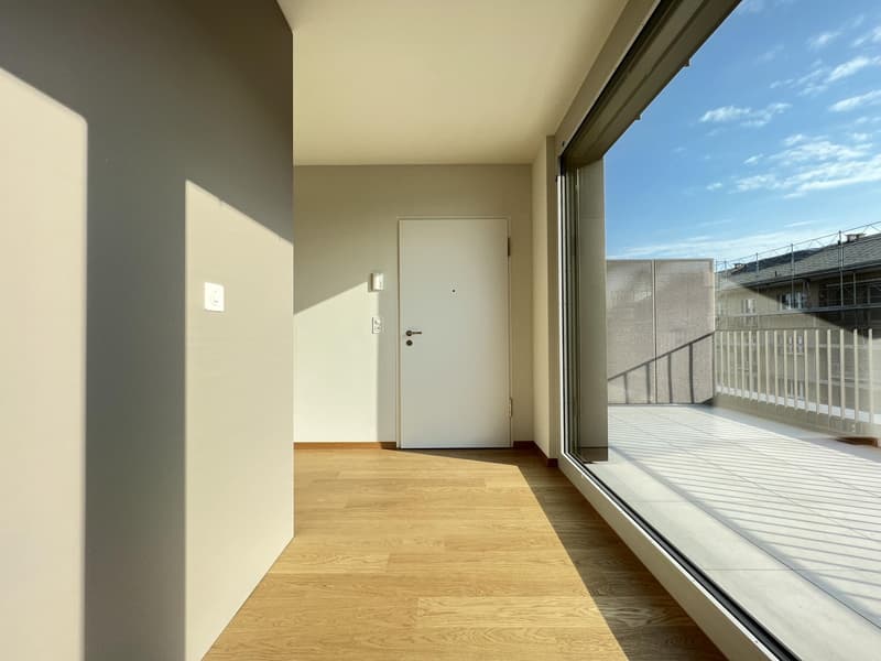 Moderne 2-Zimmer-Dachwohnung mit grosser Terrasse im St. Johann (2)