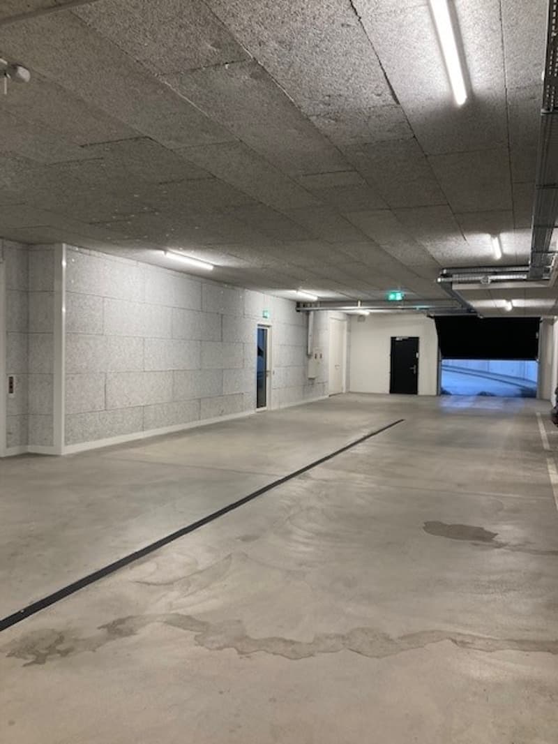 Vermietung Parkplatz in Tiefgarage (3)