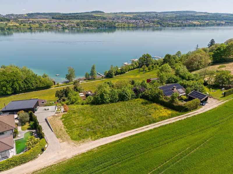 Einmaliges Grundstücksangebot am Hallwilersee