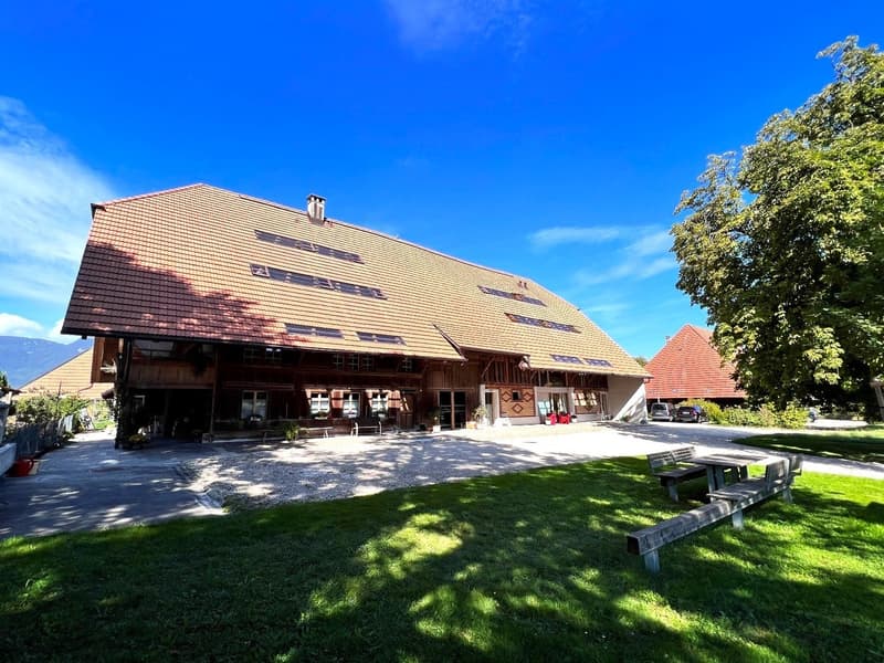 3.5-Room Apartment with Charm by the Village Fountain (1)
