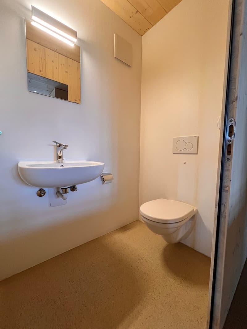 3.5-Room Apartment with Charm by the Village Fountain (13)