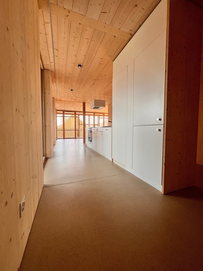 3.5-Room Apartment with Charm by the Village Fountain (5)