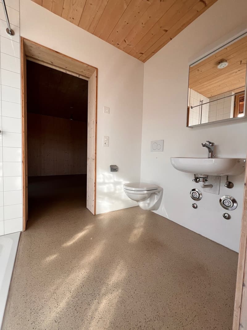 3.5-Room Apartment with Charm by the Village Fountain (10)