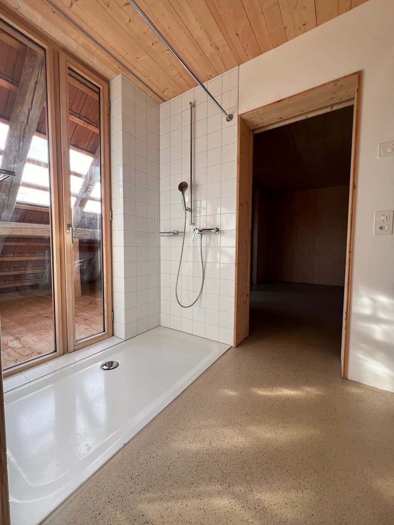 3.5-Room Apartment with Charm by the Village Fountain (9)