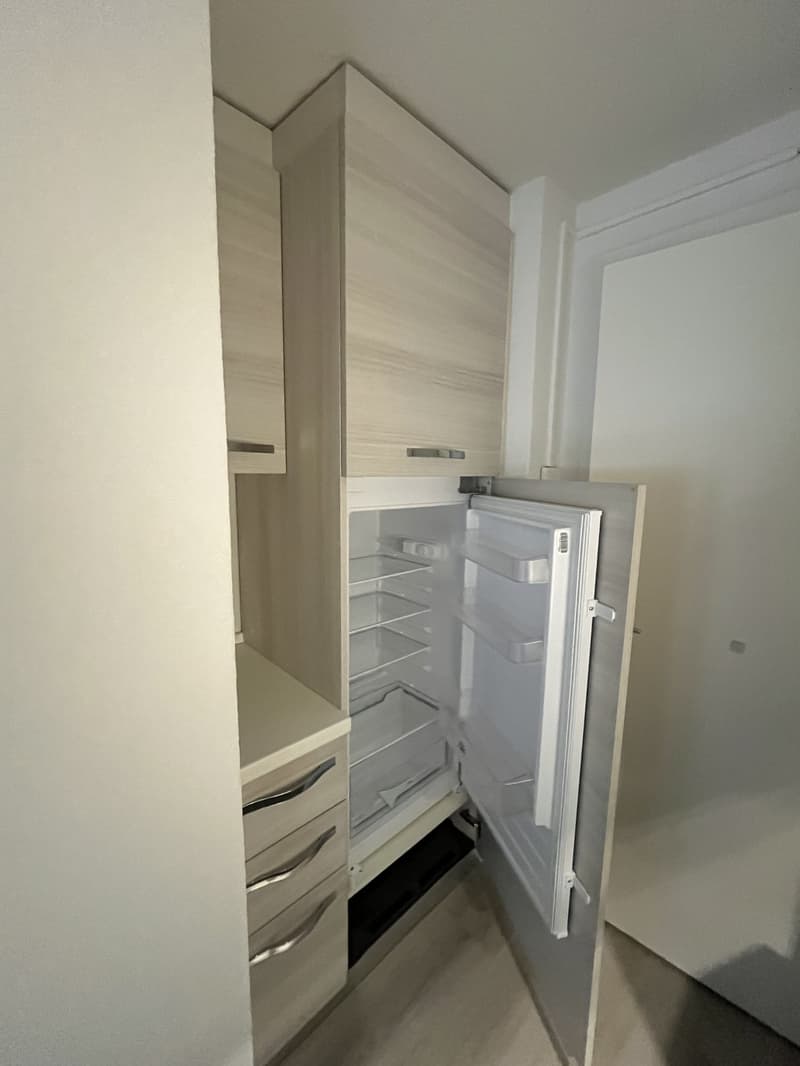 2 Bedroom Apartment, 2545 Selzach (3)