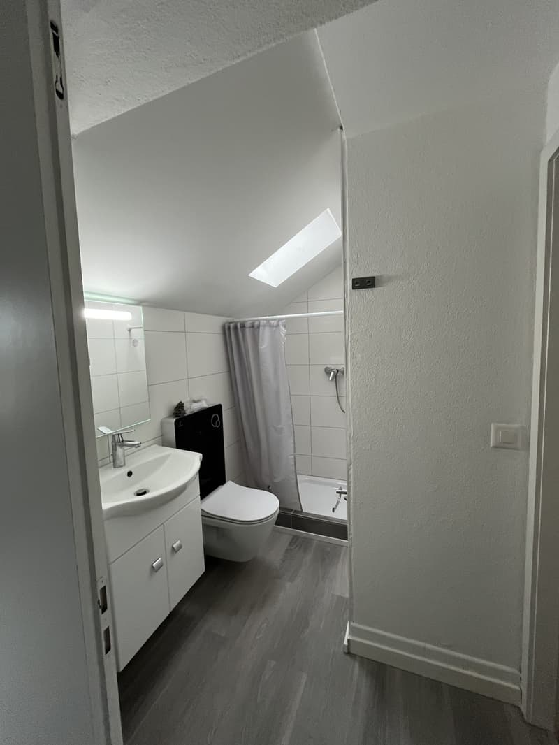 2 Bedroom Apartment, 2545 Selzach (2)
