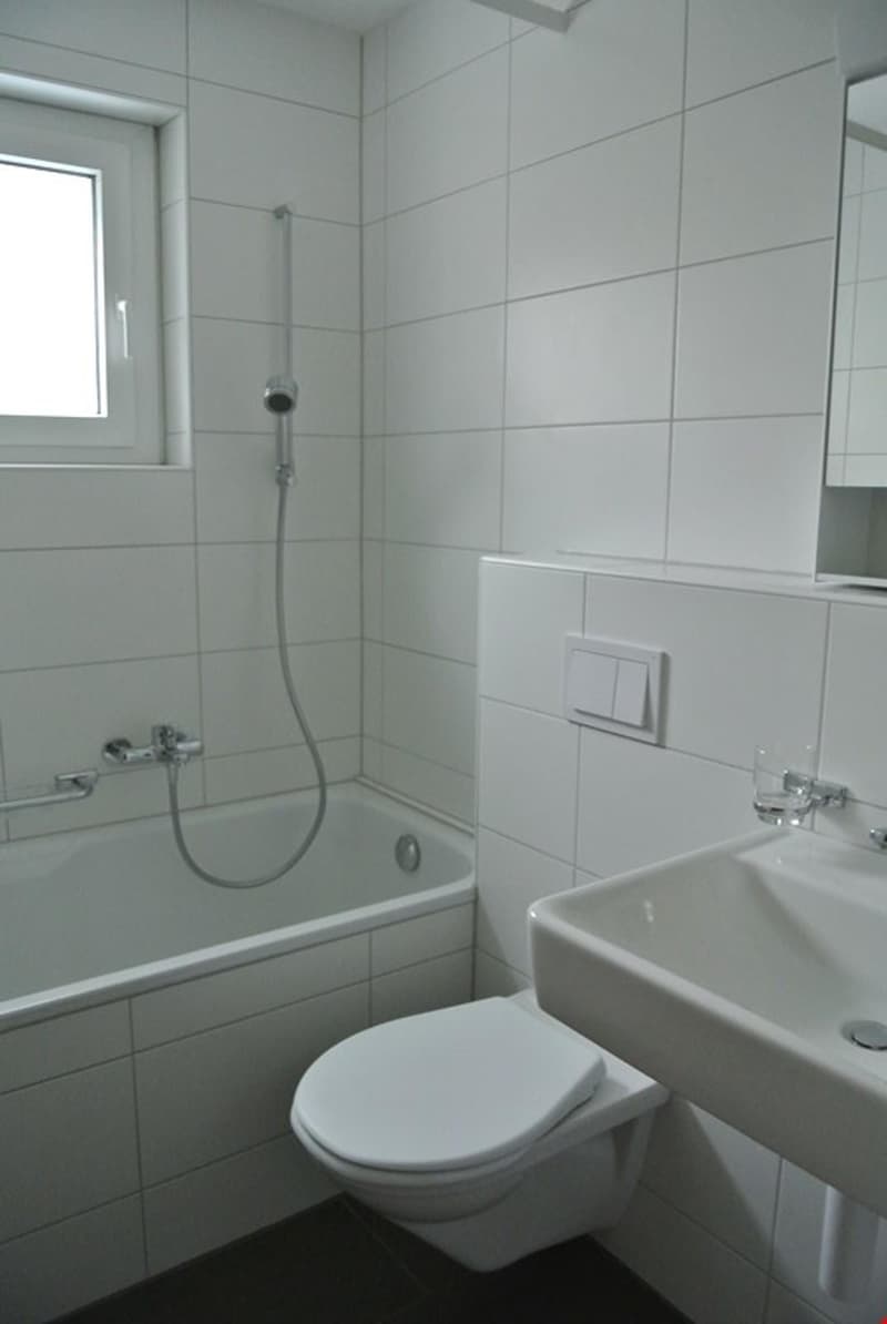 Gemütliche 3-Zimmerwohnung in ruhigem Quartier (3)