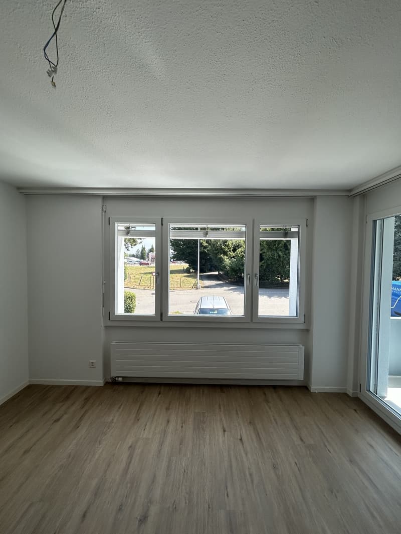 Per sofort grosszügige Wohnung an zentraler Lage (11)