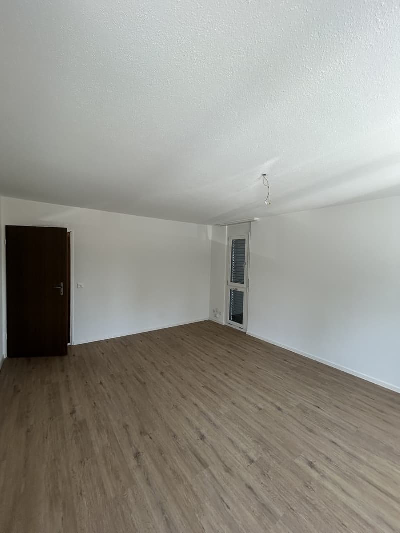 Per sofort grosszügige Wohnung an zentraler Lage (13)