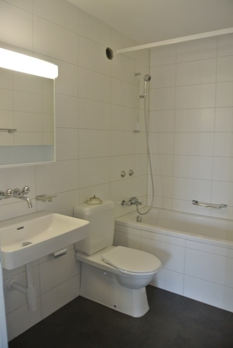 Per sofort grosszügige Wohnung an zentraler Lage (6)