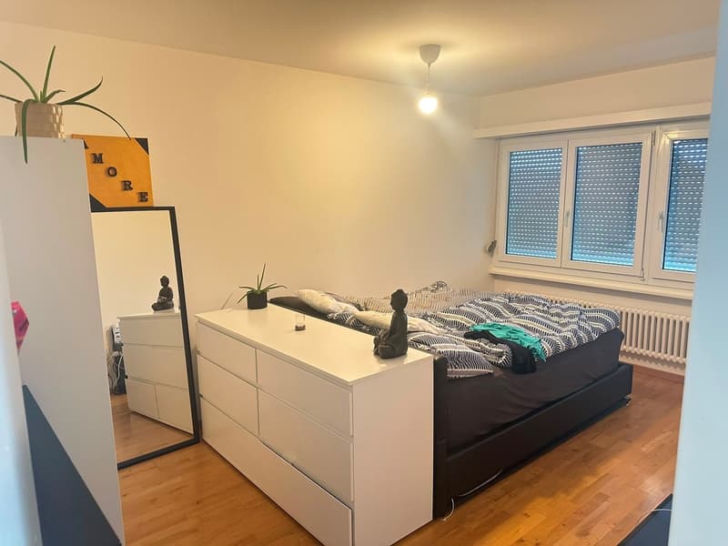 2 ½ Zimmer-Wohnung, 4512 Bellach (6)