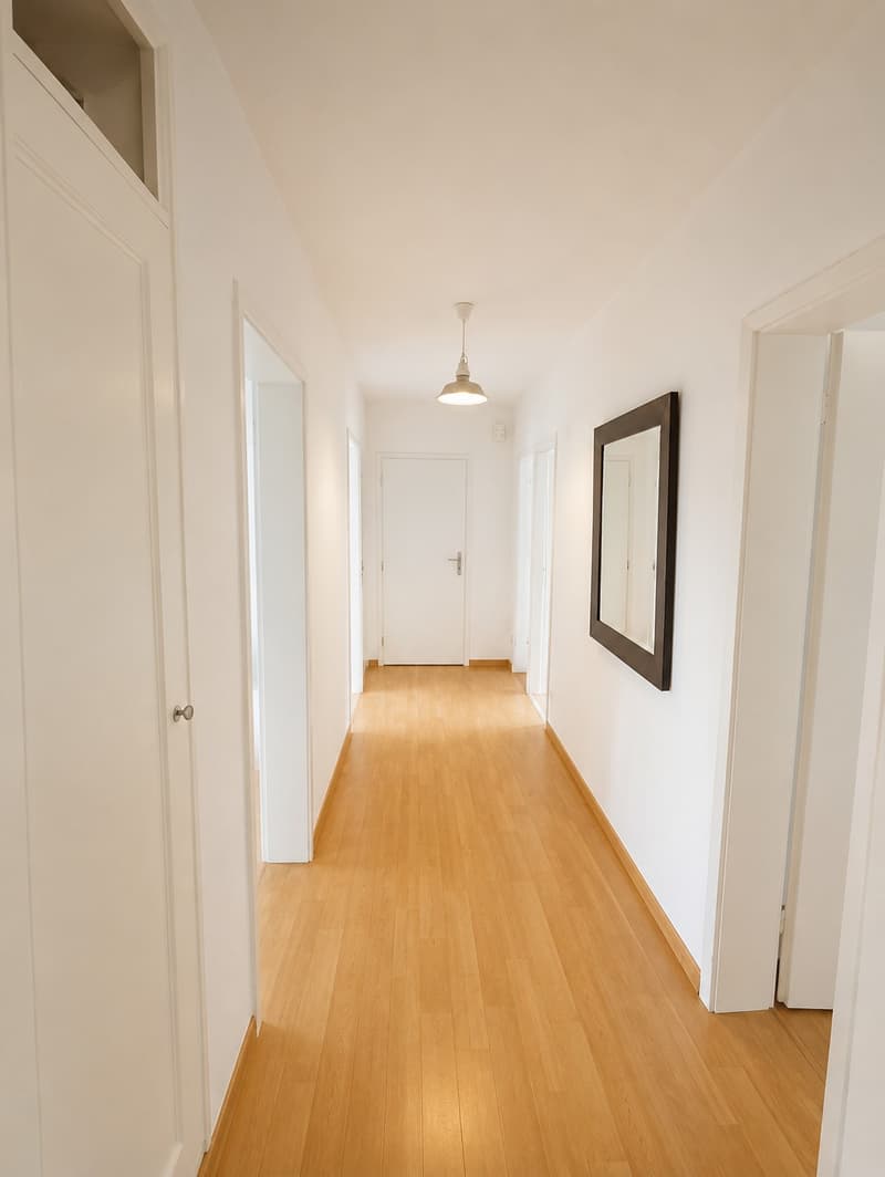 3 Zimmer-Wohnung, 4500 Solothurn (3)